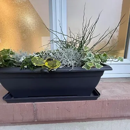 Chez Suzi - Entierement Renove *